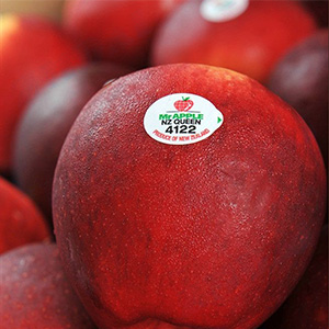 Fruit label stickers